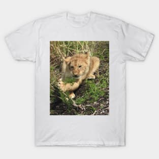 Lion Cub T-Shirt